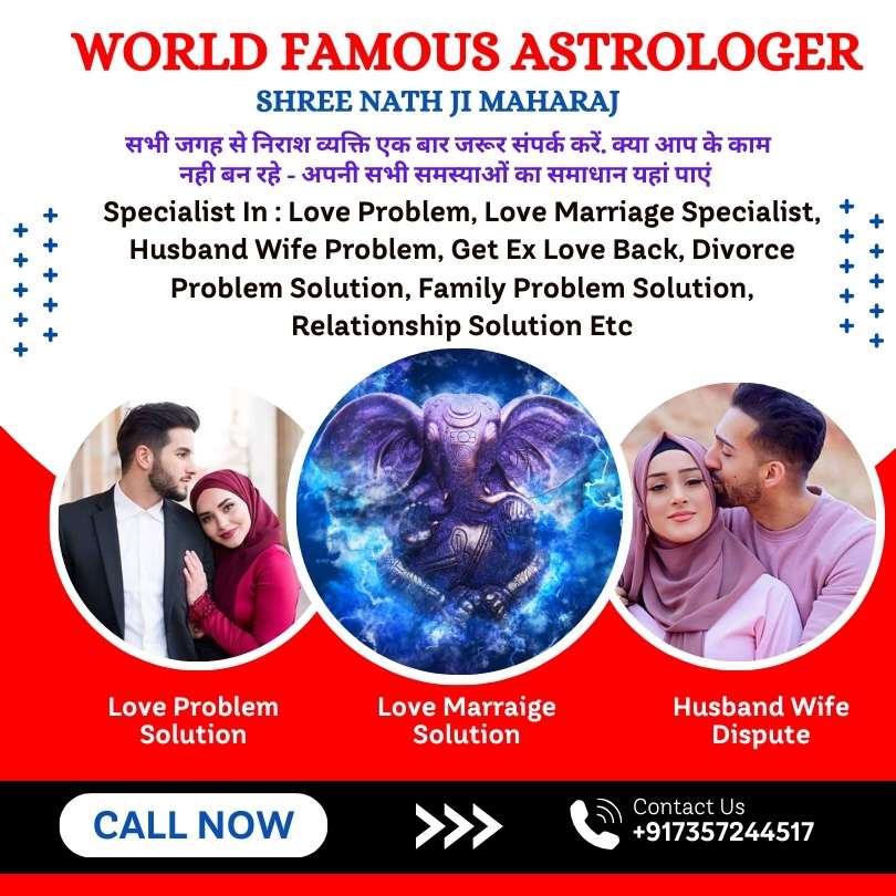 Famous Love Problem Solution Astrologer pandit Ji in Canada