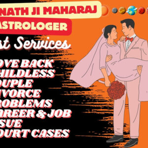 Best & Top1Love problem solution astrologers in Chicago